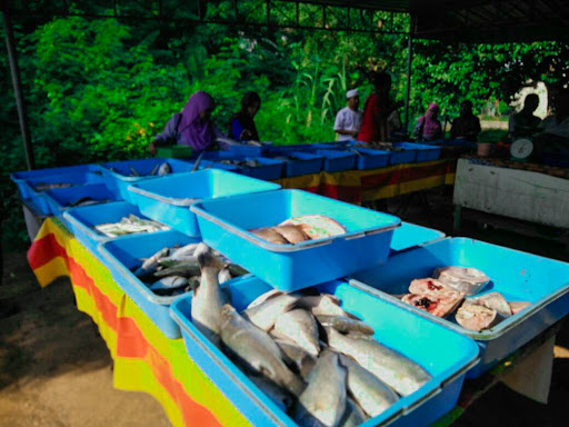 Kedai Ikan Aziz Melaka