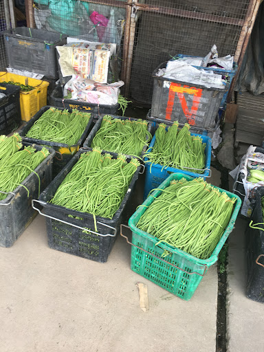 Sayur segar dari ladang