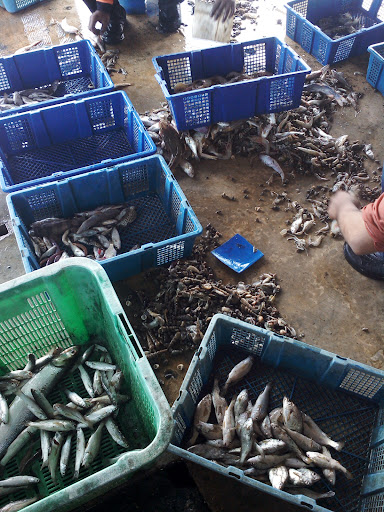 Seafood Market (Jeti Ikan Pengkalan Baru) )