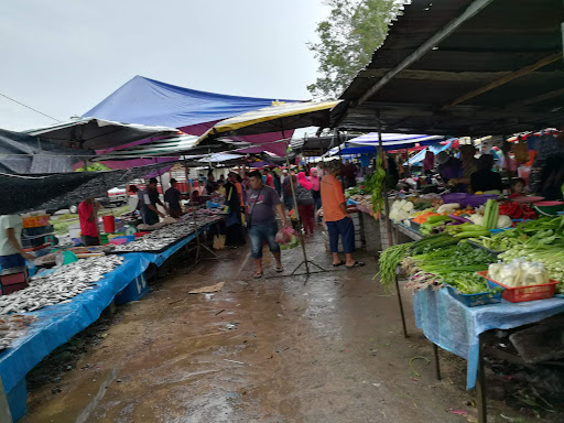 Nat Pokok Getah