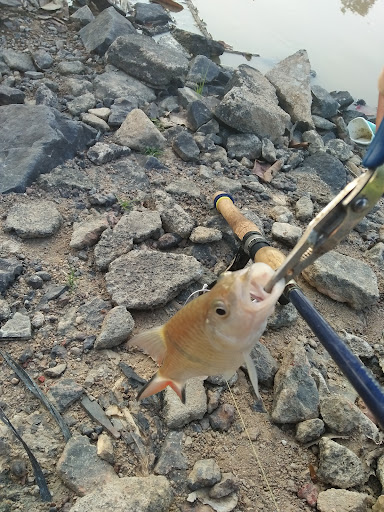 Pasar Awam Buloh Kasap