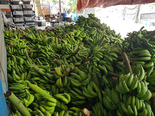 Kedai Buah Buahan Tangkak | Pemborong Buah-Buahan | Song Huat Fruit Trading