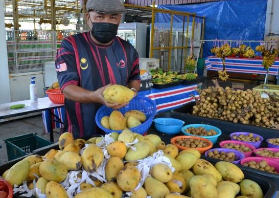 Gerai Buah-Buahan Stesen Teksi Taman Kota Yong Peng 1 gerai buah buahan stesen teksi taman kota yong peng