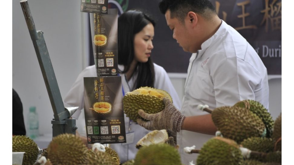 ho lee seng durian fruit dealer