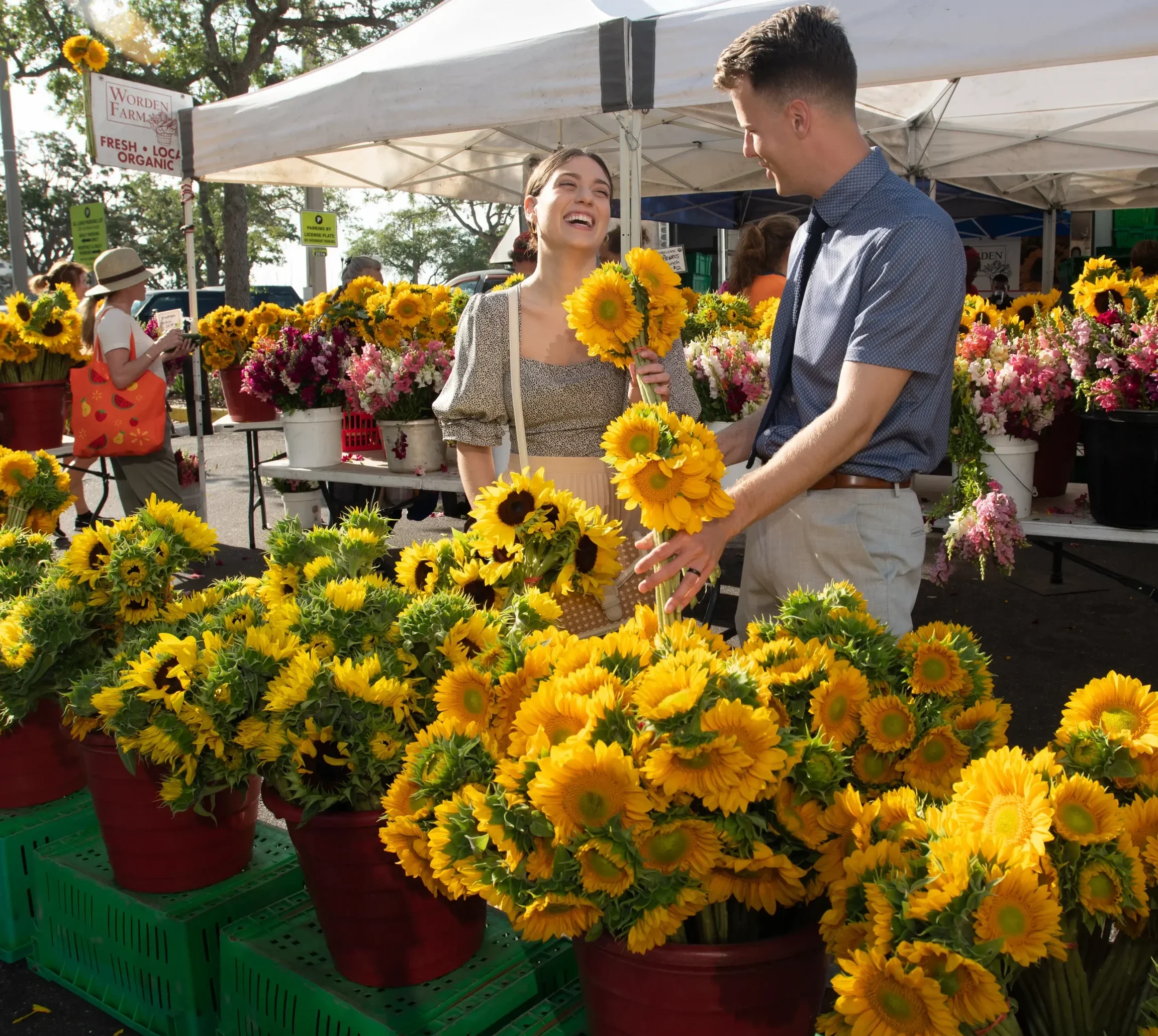 morning market