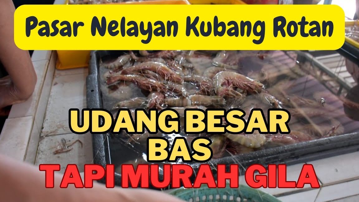 pasar nelayan kubang rotan