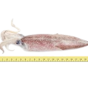 yeow sheng mini mart